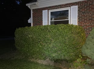 Bush Trimming by Steven Green for Cindy M. in Dayton, OH