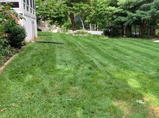 Marya S.'s Lawn Service service result