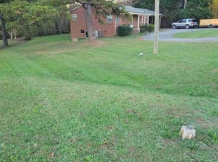 Leaf Removal by Ryan Troutman for Angela H. in Township of Taylorsville, NC