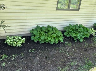 Leaf Removal by William Wilbur for judy t. in Manlius, NY