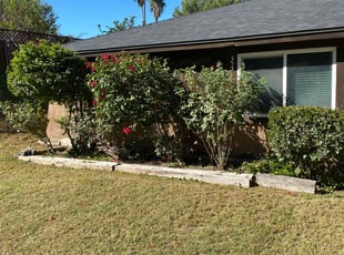 Bush Trimming by Michael Jones for Stephanie S. in Riverside, CA
