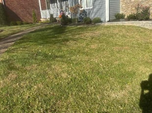 Leaf Removal by Tevin Marlow for Greg G. in Louisville, KY