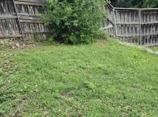 Bush Trimming by Sandro Cardoso for Robin G. in Dallas, TX