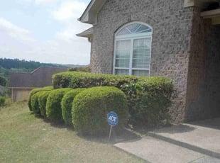 Sequoah R.'s Grass Cutting service result