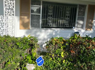 Bush Trimming by Dennis Friedline for Cassandra R. in Daytona Beach, FL