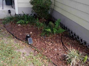 Bush Trimming by Daniel Campos for Justin C. in Houston, TX