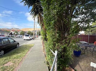 Ronni D.'s Bush Trimming service result