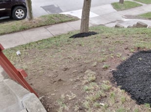 Cleanups by Terrance North for Morgan T. in Cincinnati, OH