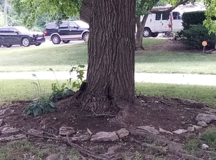 Cleanups by Dale Brooks for Sobia P. in Raytown, MO