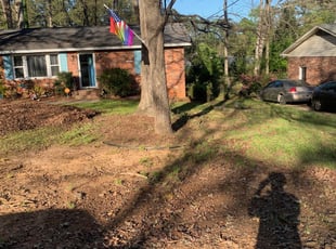 Leaf Removal by Elite Pierre for Jennifer V. in Columbia, SC