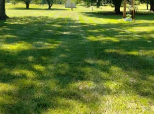 Madeleine W.'s Yard Cutting service result