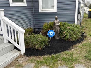 Mulching by Juan Francisco Amaya for Ferrnando L. in Pasadena, MD