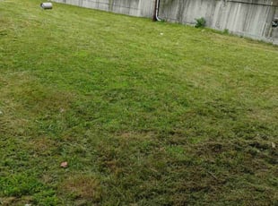 Danielle L.'s Cleanups service result