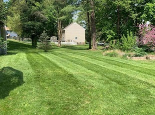 Elizabeth M.'s Lawn Mowing service result