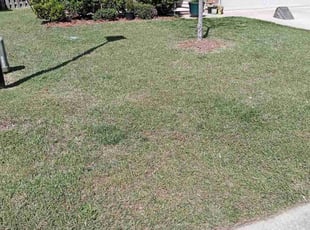 Mulching by Kendric Williams for Bernice W. in Garner, NC
