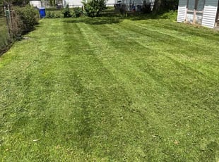 Miriam L.'s Lawn Care service result