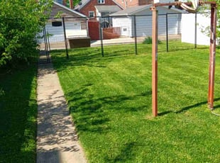 David P.'s Lawn Care service result