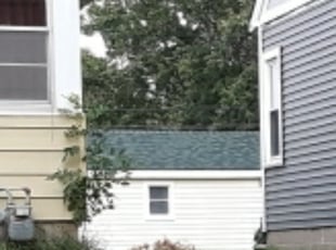 Bush Trimming by Jennifer Stoffers for Osman I. in Minneapolis, MN
