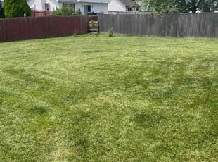 Christina H.'s Grass Cutting service result