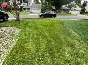 Weeding by Alesandre Duarte for Da-Minh T. in Herndon, VA