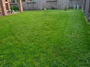 Emily K.'s Lawn Mowing service result