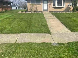 Martin H.'s Lawn Care service result