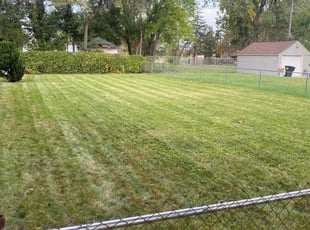 Derek J.'s Lawn Maintenance service result