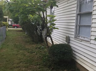 Bush Trimming by Shawn Reed for Nathan T. in Haltom City, TX