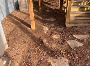 Leaf Removal by Jim Cooper for Phil H. in Asheville, NC