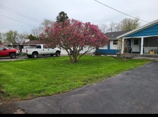 Sara L.'s Lawn Mowing Service service result