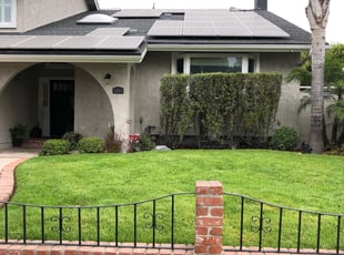 Bush Trimming by Lee Harkins for Michael H. in Huntington Beach, CA