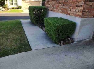 Bush Trimming by Rene Gabriel Ramirez for Joanne H. in Round Rock, TX