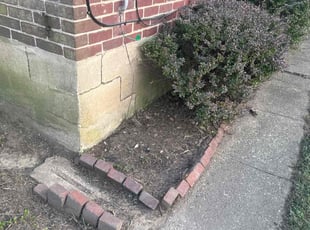 Weeding by Michael Scime for Robert M. in Wilmington, DE