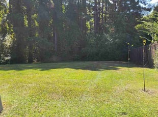 Stacy S.'s Lawn Service service result
