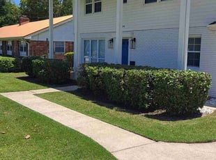 Christine M.'s Bush Trimming service result