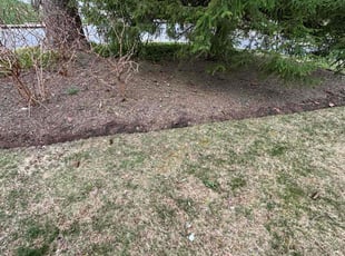 Landscaping by Edwin Villagran for John D. in Bethesda, MD