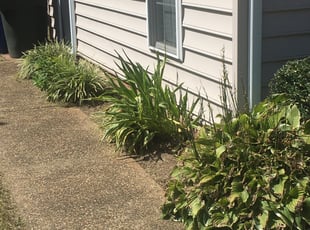 Weeding by Carlton Burney for Crystal A. in Newport News, VA