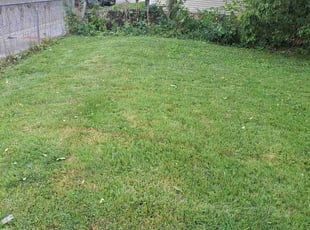 Bush Trimming by Leroy Green II for Eric W. in Columbus, OH