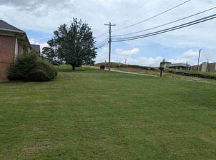 Derrick N.'s Lawn Service service result