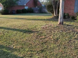 Leaf Removal by Javier Gaddis for Mary A. in Helena, AL
