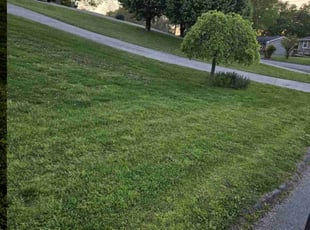 Dan M.'s Lawn Mowing service result
