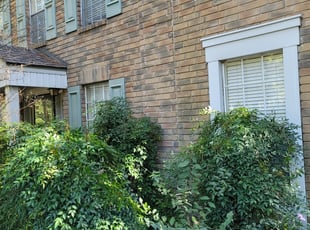 Bush Trimming by Romeo King for Femi O. in Spring, TX