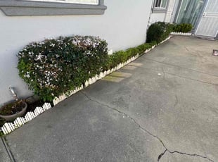 Bush Trimming by Maria Almendra for LaShon H. in Oakland, CA