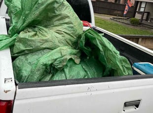Leaf Removal by Daniel Burse for ashley S. in Atlanta, GA