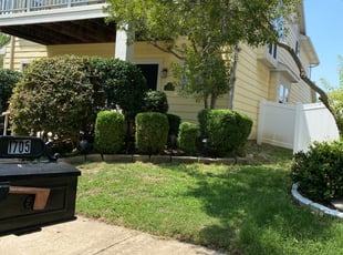 Leaf Removal by Billy Woodruff for Kimberly P. in Savannah, TX