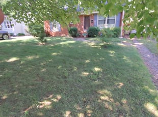 Cleanups by Jonathan Wright for Lonnie Z. in Charlotte, NC
