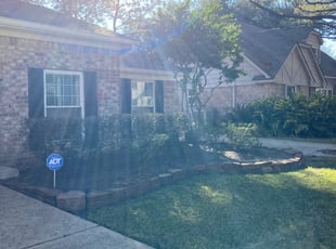 Bush Trimming by Destiny Wright for Kelsey S. in Houston, TX