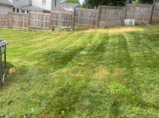 Soumen K.'s Lawn Care service result