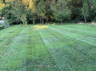 Dillon G.'s Lawn Mowing service result