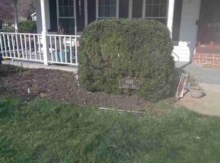Bush Trimming by Greg Bush for Jaren K. in Waldorf, MD